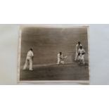 CRICKET, press photos, 1930s England players in action, inc. Sutcliffe (3rd 1930 Ashes Test),