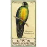 C.W.S., Parrot Series, No. 21, VG