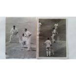 CRICKET, press photos, 1961 England v Australia, inc. tests (1), county matches (4) & team photo;