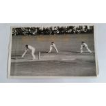 CRICKET, press photos, 1954/5, West Indies v Australia, Lindwall appealing for LBW against