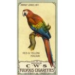 C.W.S., Parrot Series, No. 2, VG