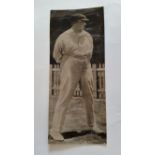 CRICKET, press photo of Armstrong, 1920, full-length pose in cricket whites, agency stamp to back (