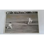 CRICKET, press photos, 1954/5, West Indies v Australia, Stollmeyer batting, date stamp for date of