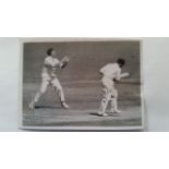 CRICKET, press photos, 1958/9, Australia v England, action from 4th test, inc. McDonald, Statham,