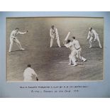 CRICKET, original action photo from 1931 Surrey v Sussex at The Oval, showing Allom fielding a cut