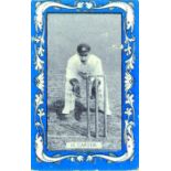 WILLS, Australian & English Cricketers (1909), blue borders, Vice-Regal backs, G to VG, 23