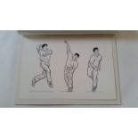 CRICKET, pen & ink sketch of the three stages of a bowling action, as used in The Cricketer, Feb