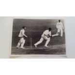 CRICKET, press photos, 1953, England v Australia, showing O'Reilly batting (at Worcester),