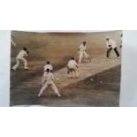 CRICKET, press photos, 1960/61 Australia v West Indies, showing Worrell c Favell b Valentine, agency