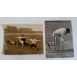 CRICKET, press photos, 1948, England v Australia, showing Hutton hit by Miller, Miller bowled;