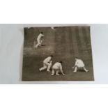CRICKET, press photo, 1955, England v South Africa, showing McGlew batting in final test, agency