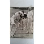 CRICKET, press photo, David Brown, in action practising at nets, Mike Smith & Colin Cowdrey