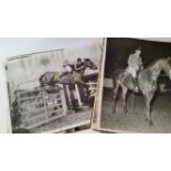 SHOW JUMPING, selection of press photos, 1940s-50s, 8 x 10 and smaller, inc. Ronald Marmont, Mary