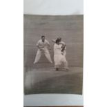 CRICKET, press photo, Neil Harvey, in action fielding, 8.5 x 11.5, creasing, tape marks, about G