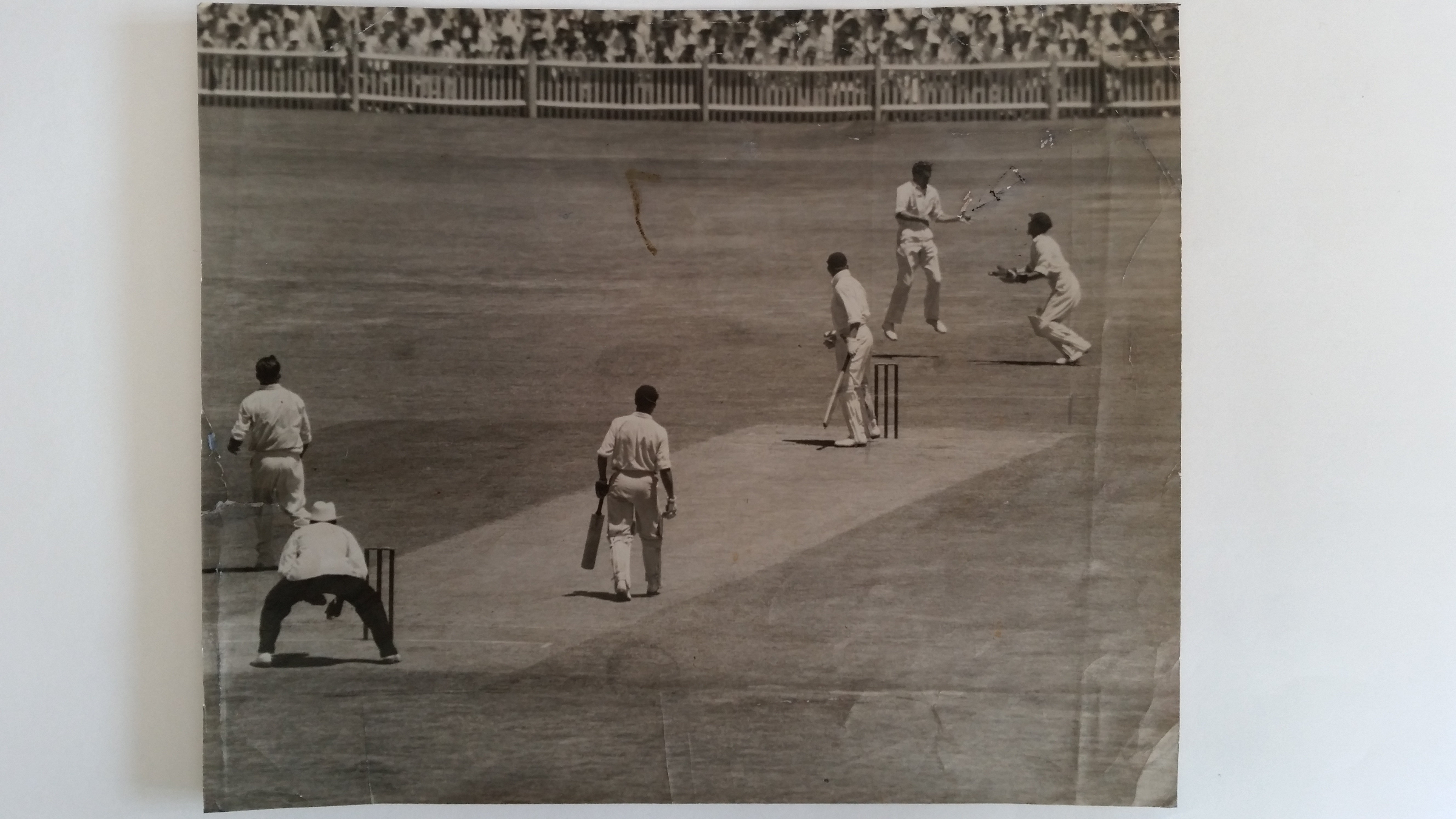 CRICKET, press photo, Tallon & Miller, juggling & dropping ball during match (1951?), 9.5 x 8, heavy