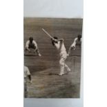 CRICKET, press photo, Peter Burge, in action batting, 8.5 x 11.75, typed annotation taped down to