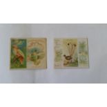 ALLEN & GINTER, Birds of the Tropics, large, tears and/or stains to most backs, FR to G, 21