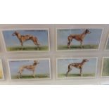 CHURCHMANS, Racing Greyhounds, complete, EX, 50