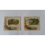 ALLEN & GINTER, Quadrupeds, large, tears and/or stains to most backs, FR to G, 21