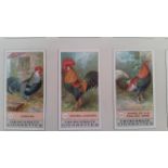 CHURCHMANS, Dogs and Fowls, original Mardon Sons & Hall proof boards, laid down with all 38 fronts &