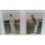 PHILLIPS, Cricketers (brown), Australian players, large (58 x 83mm), VG, 15