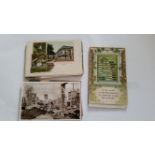 POSTCARDS, collection, inc. Flowers of the Holyland (wooden-covered album), Panama City booklet,