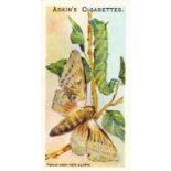 ADKIN, complete (2), Wild Animals of the World, Butterflies & Moths, VG to EX, 100
