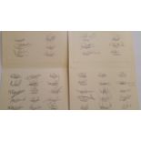 RUGBY UNION, signed fold-over cards, match v Scotland, 1st Feb 1997, each with 21 signatures, EX, 2