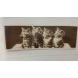 ROTARY, Midget Book Post (kittens), bookmark shaped postcards, none pu, G to VG, 15