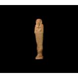 Egyptian Hieroglyphic Shabti