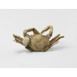 Natural History - Fossil Sentinel Crab