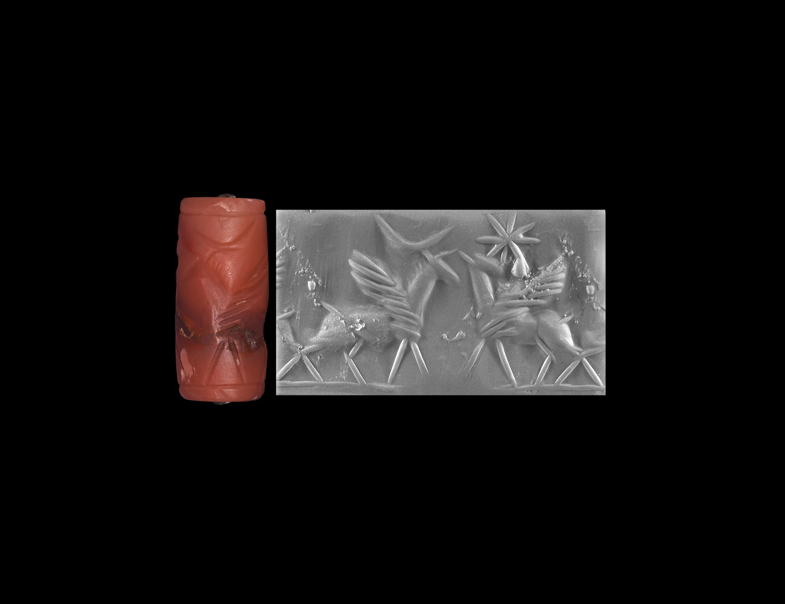 Cylinder Seal with Winged Quadrupeds