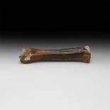 Natural History - Ice Age Bison Bone