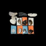 Stone Age British Flint Tool Collection
