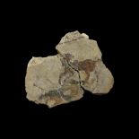 Parthian Horse Fresco Fragment Group