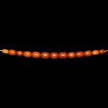 Natural History - Large Amber Bead Collection