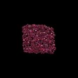 Natural History - Ruby Gemstone Collection