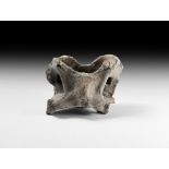 Natural History - Ice Age Bison Cranium