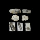 Stone Age Cissbury Flint Tool Collection