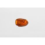 Natural History - Polished Baltic Amber with Midges