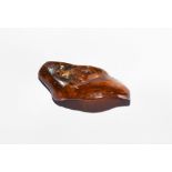 Natural History - Large Polished Baltic Amber with Spider and Aphids