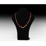 Natural History - Carnelian and Other Bead Necklace