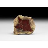 Natural History - Polished Rhyolite Mineral Specimen