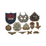 Mixed Cap Badges Group [12]