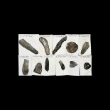 Stone Age Mount Carvey, Cissbury Flint Tool Collection