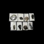 Stone Age Sussex Flint Tool Collection