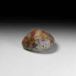 Natural History - Polished Dinosaur Coprolite