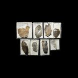 Stone Age Mount Carvey, Cissbury Flint Tool Collection