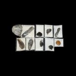 Stone Age Mount Carvey, Cissbury Flint Tool Collection