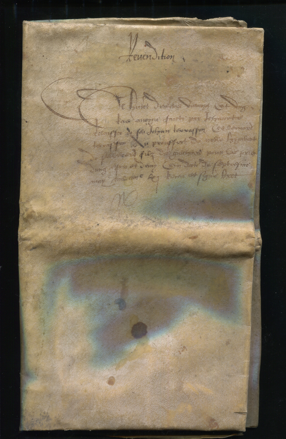 DOCUMENTS. A Louis XI of France manuscript document on vellum dated 2 November 1478, concerning - Image 2 of 10